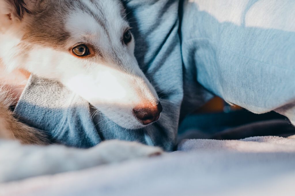 baby not able to sleep due to cold